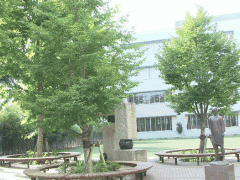 八王子高等学校校园