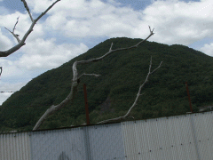 冈山县共生高等学校美景