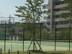 清风南海高等学校储物柜网球场