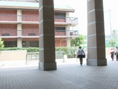 洛南高等学校体育中心楼下