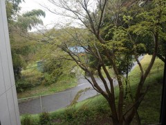 翔凜高等学校校园内