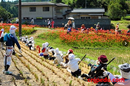 Baidu IME_2015-9-23_17-47-23