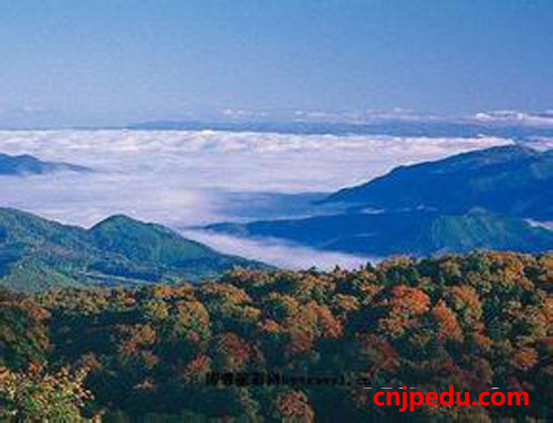 留日中国学生参加评论员之旅