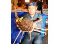 日本海迎来螃蟹季