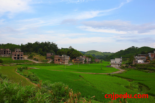 日福冈大学生挑战表演中文剧