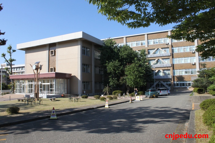 在日中国留学生体验新春试笔