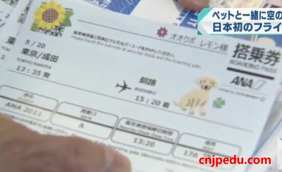 全日空允许乘客携宠物登机 开日本航空先河