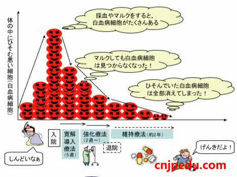 日本医生如何把白血病再“染红”