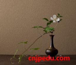 中国留学生体验日本插花