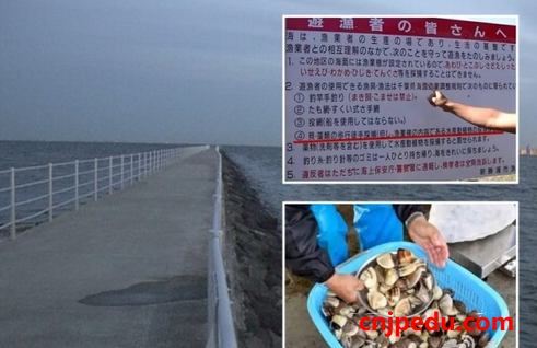 日本一男子为救落海中国人溺亡