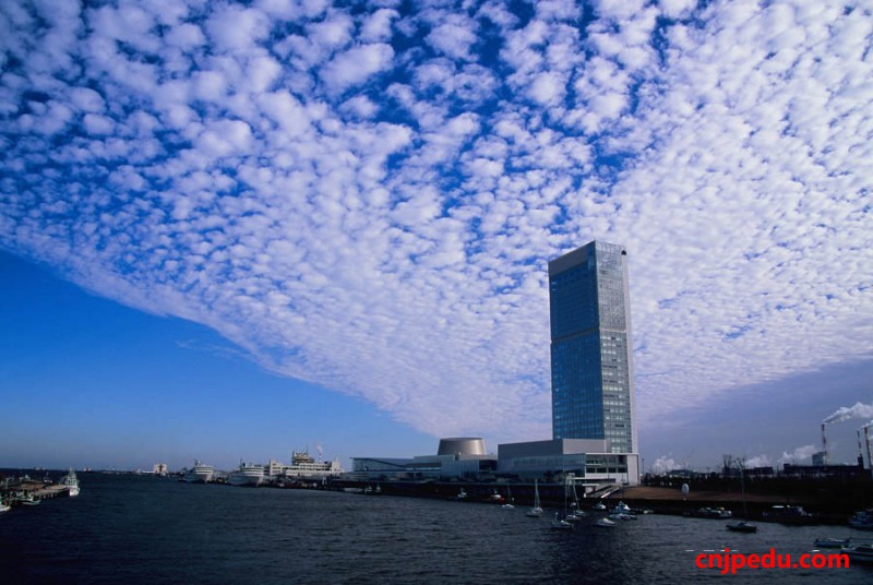 日新潟为留学生举办国际人才展