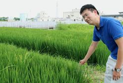 山形大学以&ldquo;污水&rdquo;为肥料种植饲料米的实验被看好