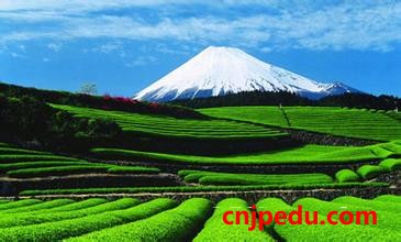 日静冈县大学生将赴浙江短期留学 冀做中日桥梁