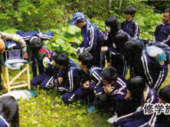 雲雀丘学園中学校・高等学校修学旅行