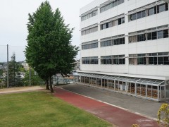 云雀丘学园高等学校教学楼前绿茵