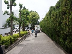 云雀丘学园高等学校校园风景