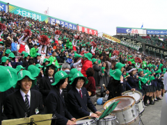 冲绳尚学高等学校棒球比赛全国称霸拉拉队