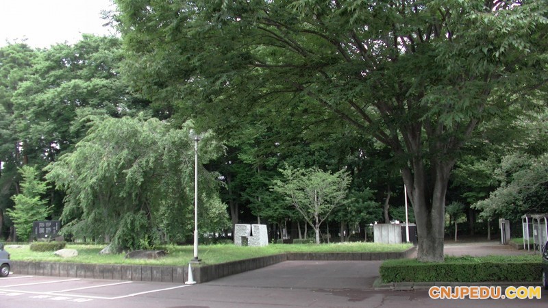 日本旭川医科大学开设国际医疗科