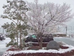 朝日塾校园雪景