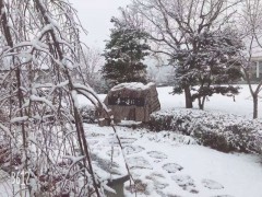 朝日塾校园雪景