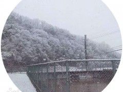 朝日塾校园雪景