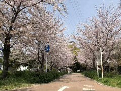 好文学园女子高中留学生宿舍周边