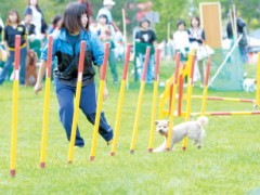 北海道生态环境交流中心学校