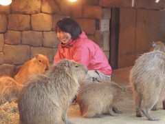 北海道生态环境交流中心学校