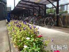 熊本YMCA学院日本语科学校照片综合