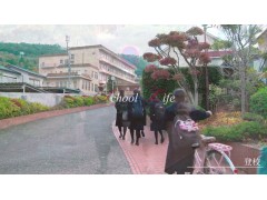 山梨県英和中学校・高等学校学校生活2