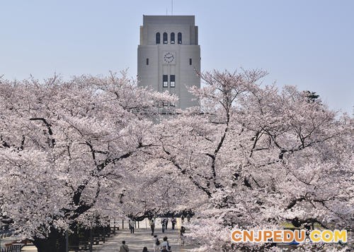 东京工业大学