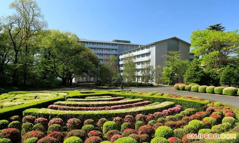 国际基督教大学