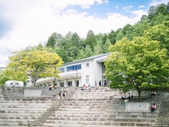 简介：
