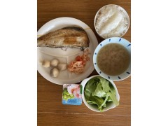 中日网日本留学网学生宿舍日常伙食（05.12）